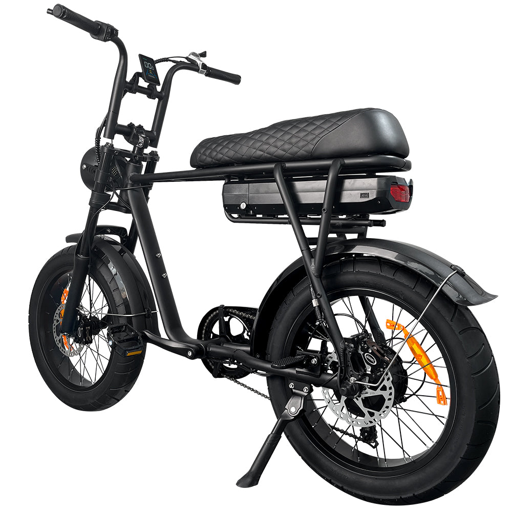 EB2 Beast - 7GO - 750W