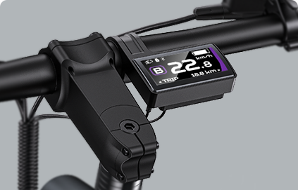 Engwe P275