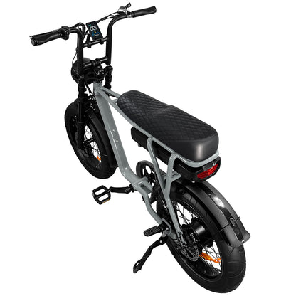 EB2 Beast - 7GO - 750W