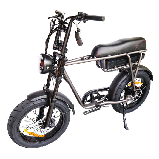 T6 RETRO TOURWHEEL - 750W