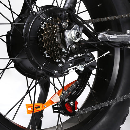 T6 RETRO TOURWHEEL - 750W