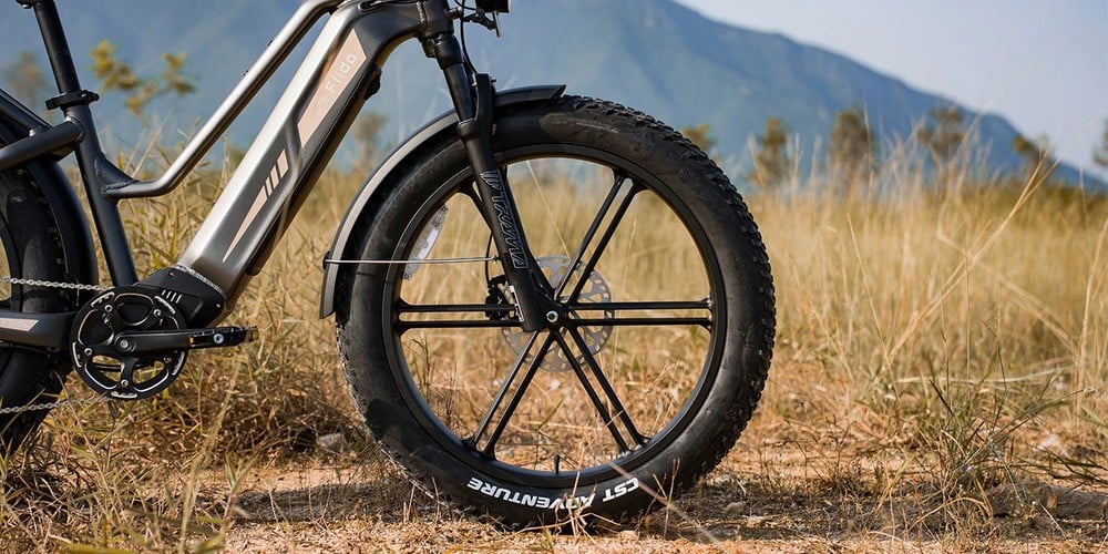 FIIDO TITAN - Bici Elettrica Cross Da Trasporto