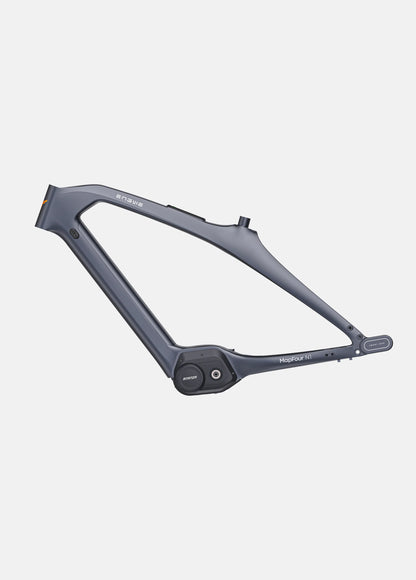 Engwe Mapfour N1 PRO Carbon