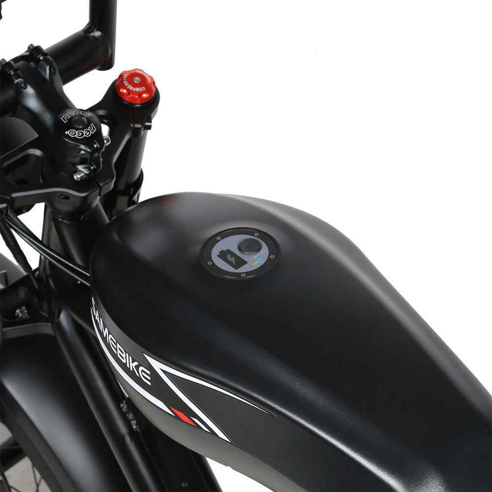 SAMEBIKE  M20