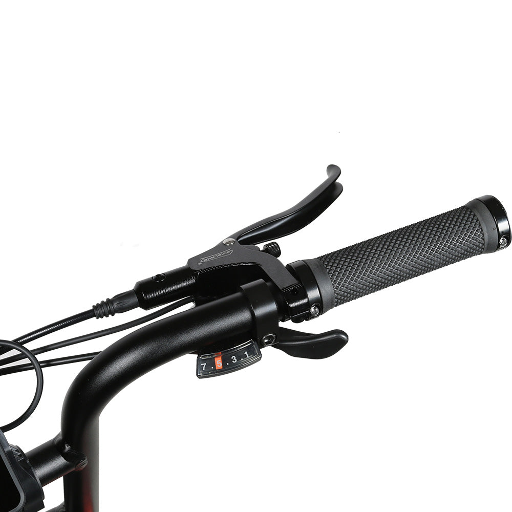 SAMEBIKE  M20