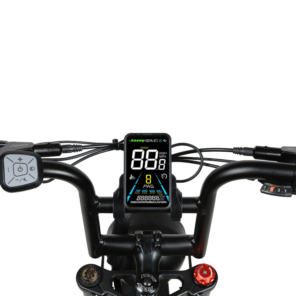 SAMEBIKE  M20