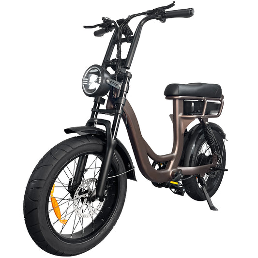 EB2 Beauty - 7GO - 750W