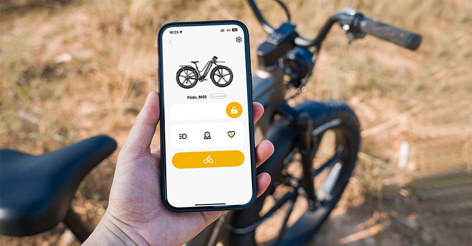 FIIDO TITAN - Bici Elettrica Cross Da Trasporto