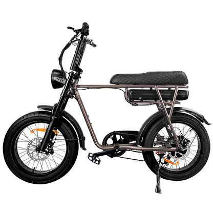 EB2 Beast - 7GO - 750W