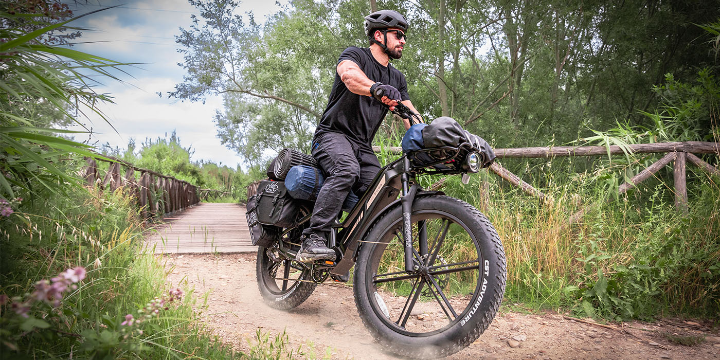 FIIDO TITAN - Bici Elettrica Cross Da Trasporto