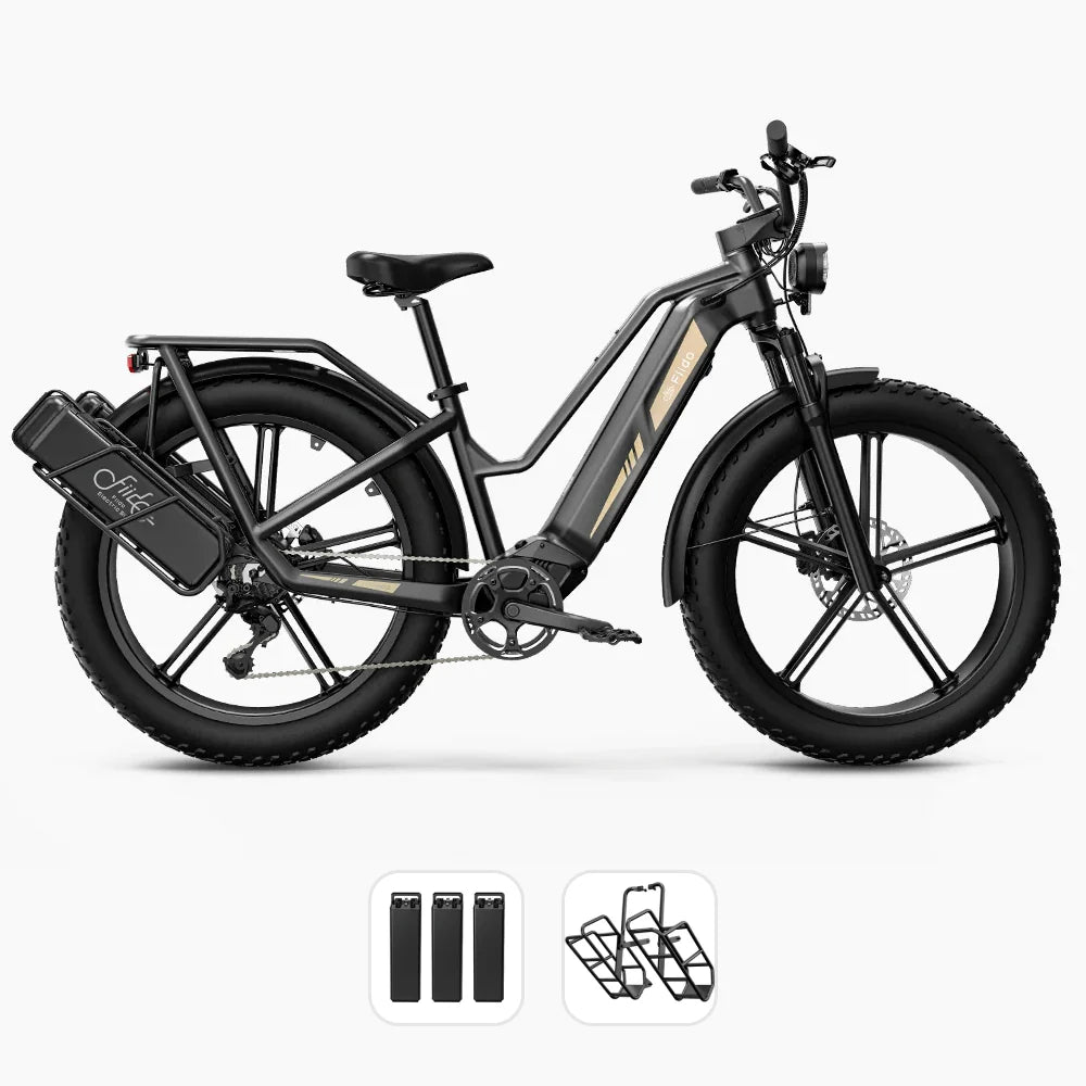 FIIDO TITAN - Bici Elettrica Cross Da Trasporto