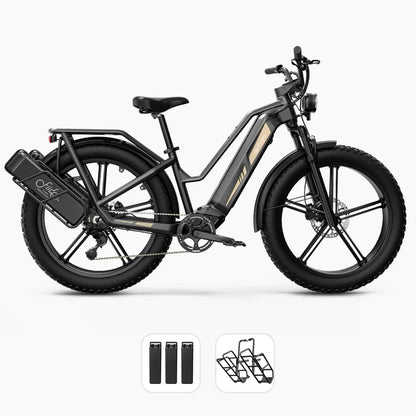 FIIDO TITAN - Bici Elettrica Cross Da Trasporto