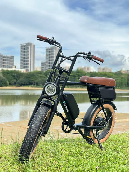 L4 Cyclefort - 750W 48V 20ah