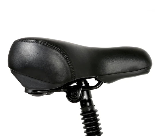 Samebike 20LVXD30-II