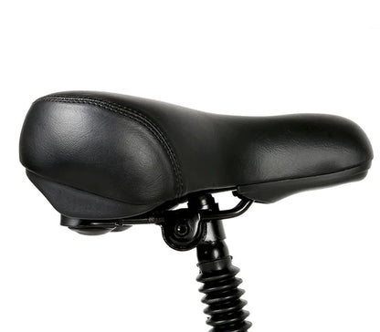 Samebike 20LVXD30-II