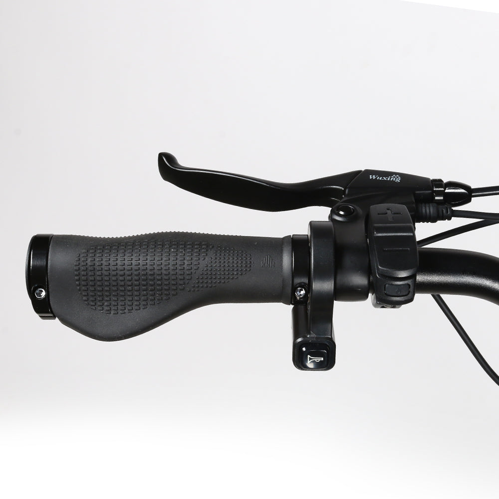 SAMEBIKE RSA-01 Plus