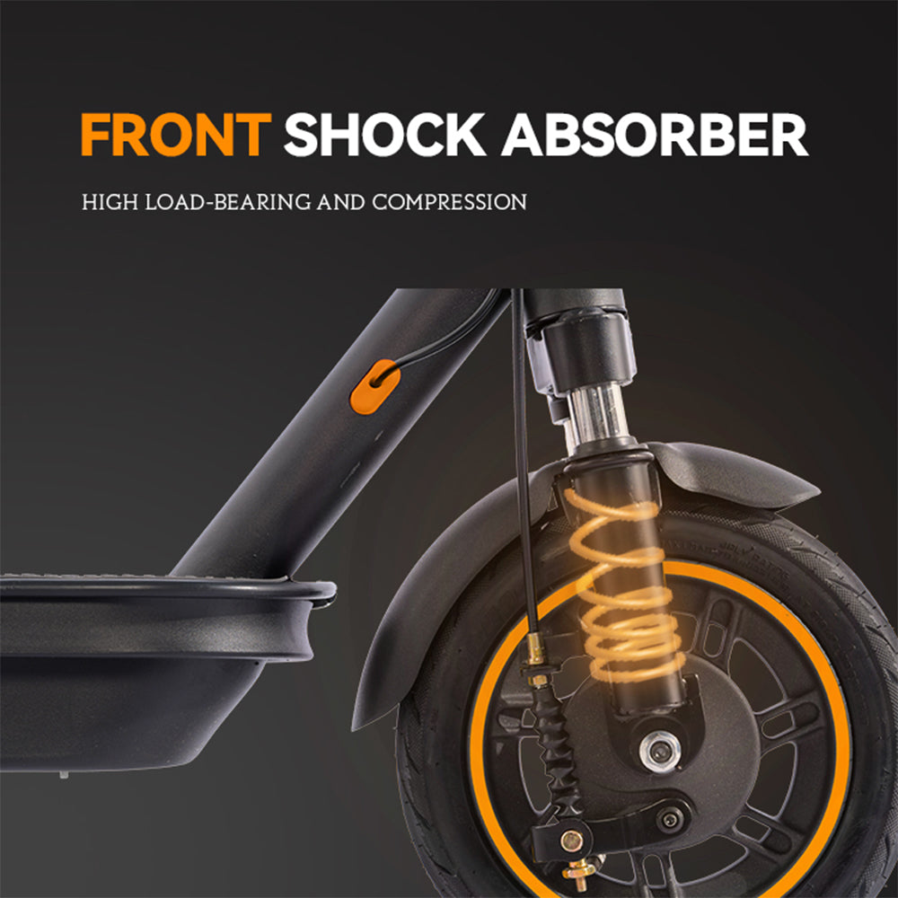 E-Scooter PRO MAX 500W