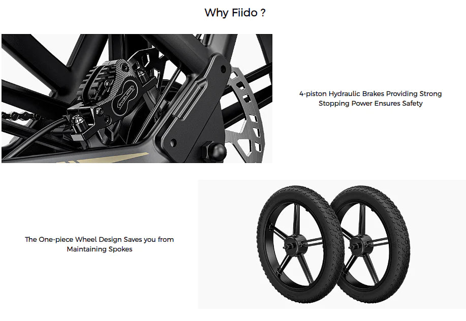 FIIDO TITAN - Bici Elettrica Cross Da Trasporto
