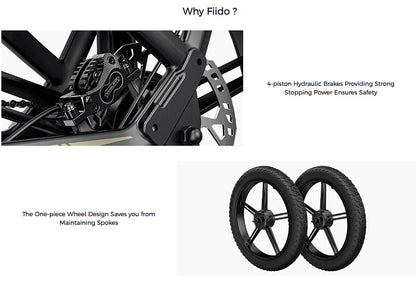 FIIDO TITAN - Bici Elettrica Cross Da Trasporto