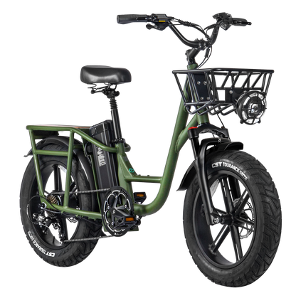 FIIDO T1 PRO Cargo Bike