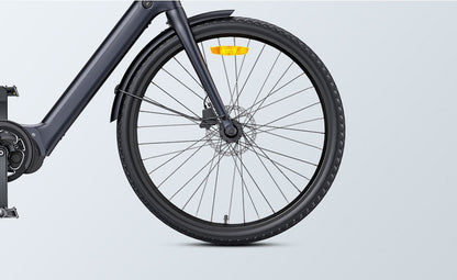 Engwe Mapfour N1 PRO Carbon
