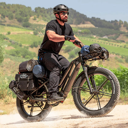FIIDO TITAN - Bici Elettrica Cross Da Trasporto