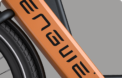 Engwe P275