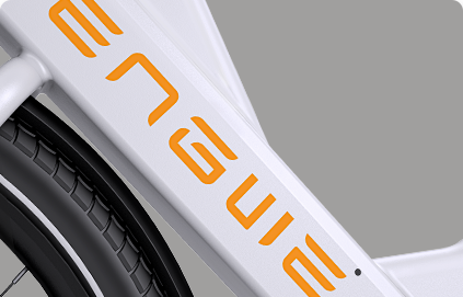 Engwe P275