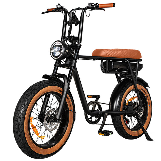 EB2 Beast - 7GO - 750W