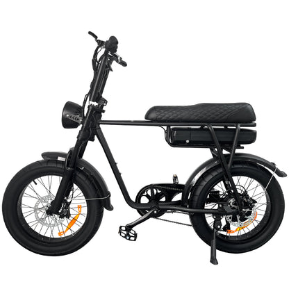 EB2 Beast - 7GO - 750W