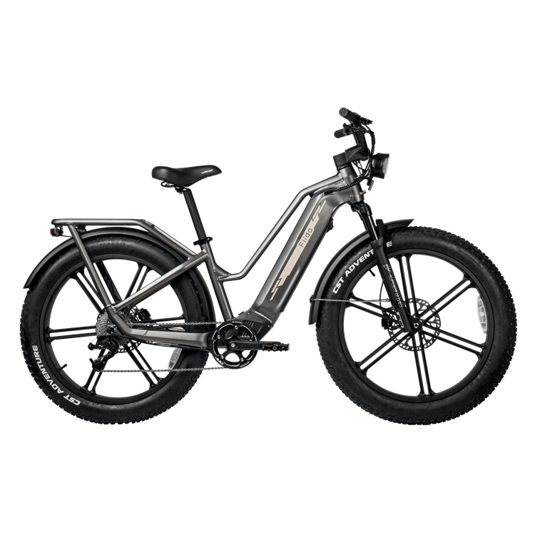 FIIDO TITAN - Bici Elettrica Cross Da Trasporto