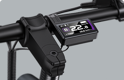 Engwe P275