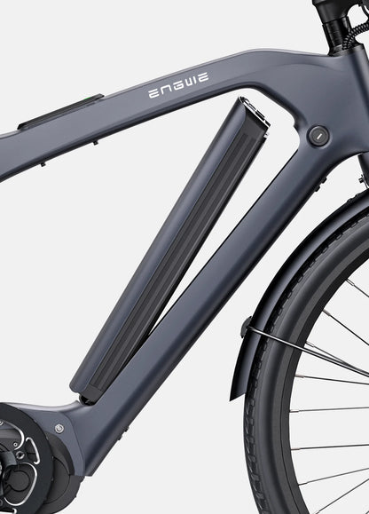Engwe Mapfour N1 PRO Carbon