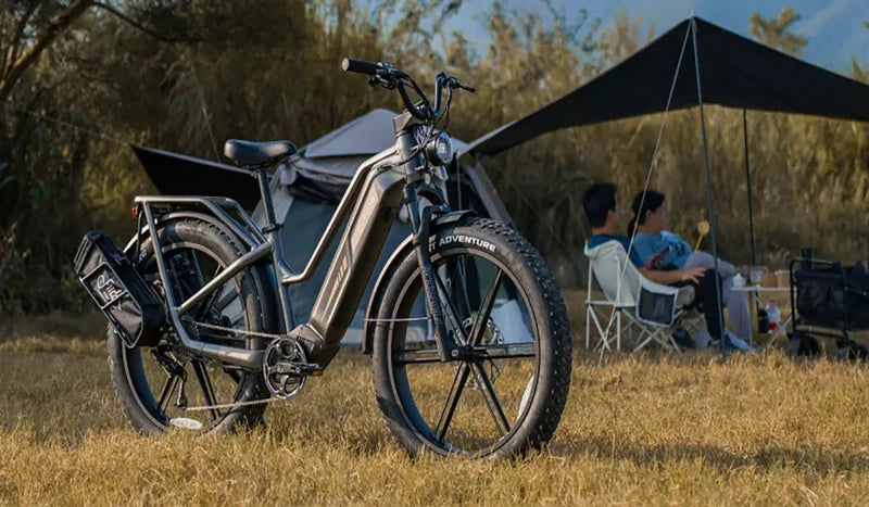 FIIDO TITAN - Bici Elettrica Cross Da Trasporto