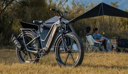 FIIDO TITAN - Bici Elettrica Cross Da Trasporto