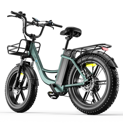 Eletronbike OC20