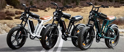 ENGWE M20
