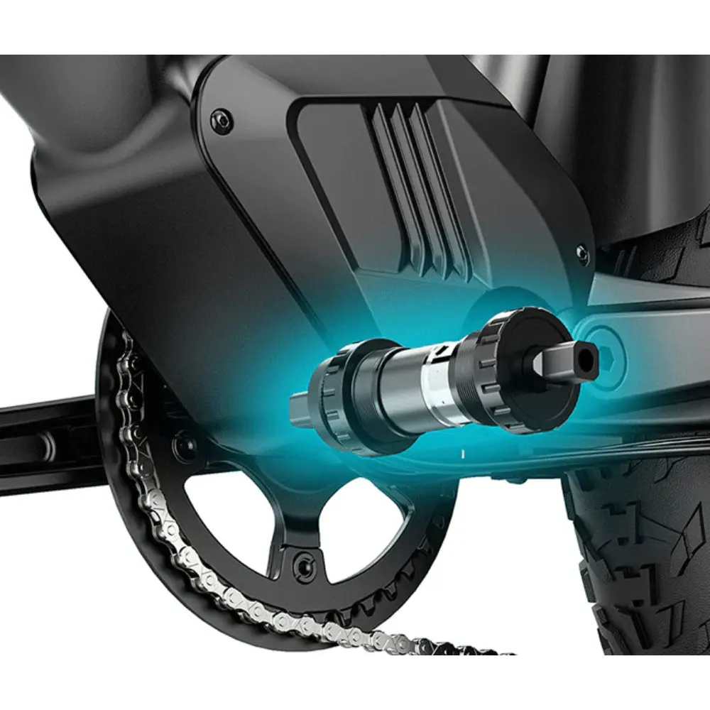 FIIDO TITAN - Bici Elettrica Cross Da Trasporto