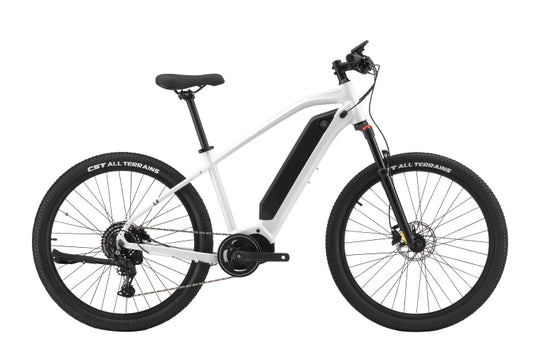 L5 Cyclefort - 250W 36V 17,5ah