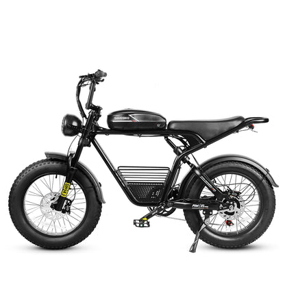 SAMEBIKE  M20