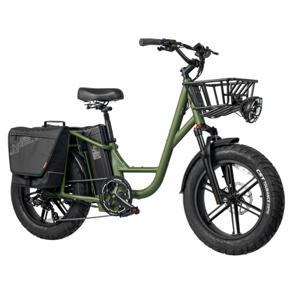 FIIDO T1 PRO Cargo Bike