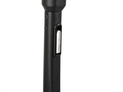 Mankeel Steed 350W