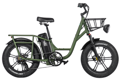 FIIDO T1 PRO Cargo Bike