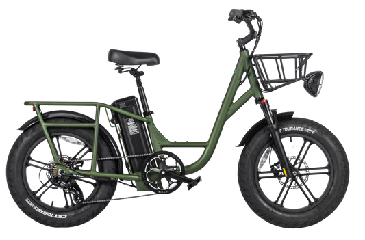 FIIDO T1 PRO Cargo Bike