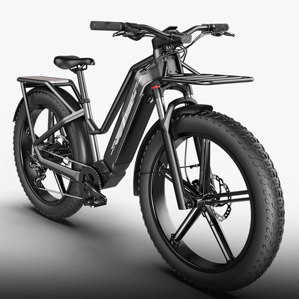 FIIDO TITAN - Bici Elettrica Cross Da Trasporto
