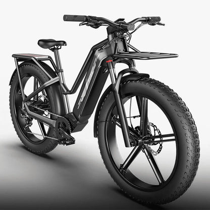 FIIDO TITAN - Bici Elettrica Cross Da Trasporto