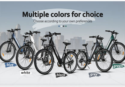 SAMEBIKE RSA-01 PRO