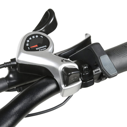 SAMEBIKE XWLX09-II SILVER ARROW