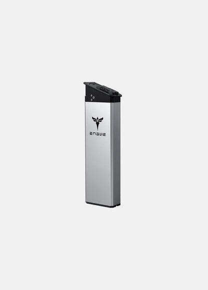 ENGWE EP-2 PRO