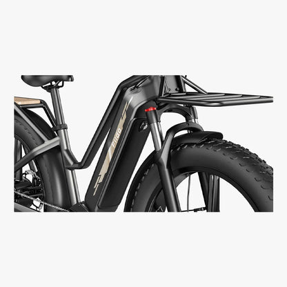 FIIDO TITAN - Bici Elettrica Cross Da Trasporto